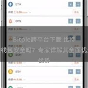 Bitpie跨平台下载 比特派钱包安全吗？专家详解其全面优势