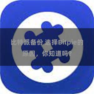 比特派备份 选择Bitpie的原因，你知道吗？