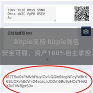 Bitpie支持 Bitpie钱包安全可靠，资产100%自主掌控