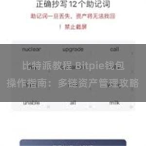 比特派教程 Bitpie钱包操作指南：多链资产管理攻略