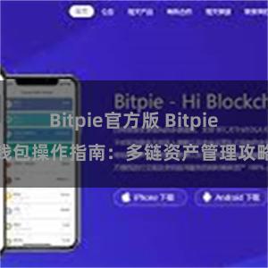 Bitpie官方版 Bitpie钱包操作指南：多链资产管理攻略