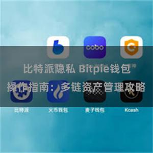 比特派隐私 Bitpie钱包操作指南：多链资产管理攻略