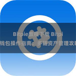 Bitpie教程下载 Bitpie钱包操作指南：多链资产管理攻略