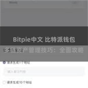 Bitpie中文 比特派钱包多链资产管理技巧：全面攻略