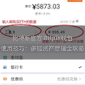 比特派官方 Bitpie钱包使用技巧：多链资产管理全攻略