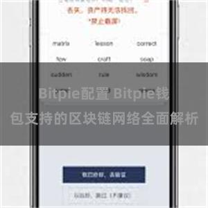 Bitpie配置 Bitpie钱包支持的区块链网络全面解析