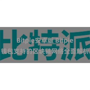 Bitpie安卓版 Bitpie钱包支持的区块链网络全面解析