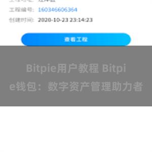 Bitpie用户教程 Bitpie钱包：数字资产管理助力者