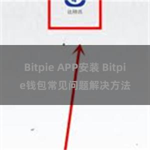 Bitpie APP安装 Bitpie钱包常见问题解决方法