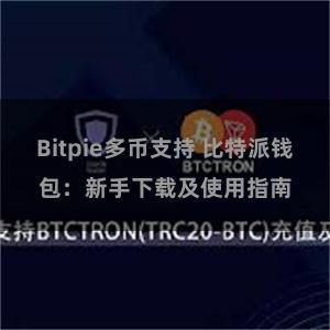 Bitpie多币支持 比特派钱包：新手下载及使用指南