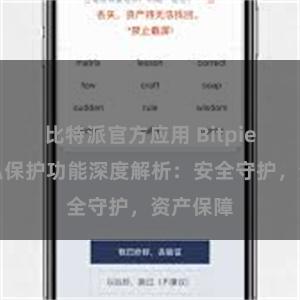 比特派官方应用 Bitpie钱包隐私保护功能深度解析：安全守护，资产保障