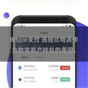 Bitpie支付 选择比特派作为数字资产钱包的原因。