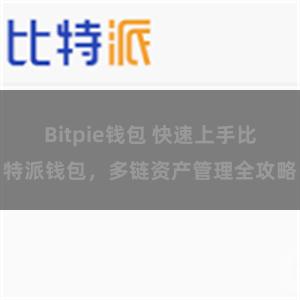 Bitpie钱包 快速上手比特派钱包，多链资产管理全攻略