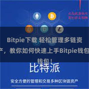 Bitpie下载 轻松管理多链资产，教你如何快速上手Bitpie钱包！