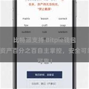 比特派支持 Bitpie钱包：资产百分之百自主掌控，安全可靠！