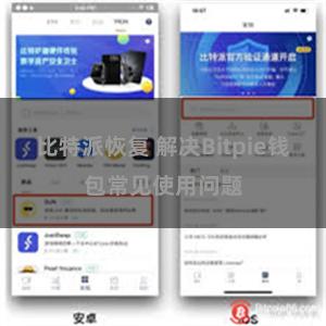 比特派恢复 解决Bitpie钱包常见使用问题