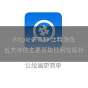 Bitpie多币种 比特派钱包支持的主要区块链网络解析