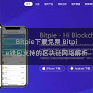 Bitpie下载免费 Bitpie钱包支持的区块链网络解析