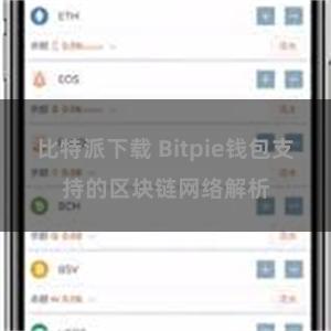 比特派下载 Bitpie钱包支持的区块链网络解析