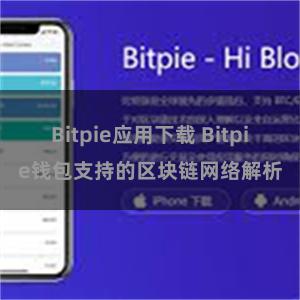 Bitpie应用下载 Bitpie钱包支持的区块链网络解析