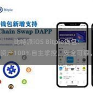 比特派iOS Bitpie钱包：资产100%自主掌控，安全可靠。