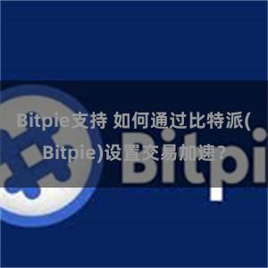 Bitpie支持 如何通过比特派(Bitpie)设置交易加速？