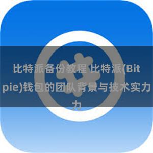 比特派备份教程 比特派(Bitpie)钱包的团队背景与技术实力