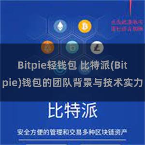 Bitpie轻钱包 比特派(Bitpie)钱包的团队背景与技术实力