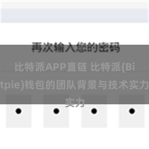 比特派APP直链 比特派(Bitpie)钱包的团队背景与技术实力