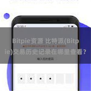 Bitpie资源 比特派(Bitpie)交易历史记录在哪里查看？