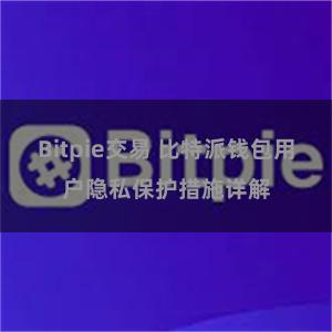 Bitpie交易 比特派钱包用户隐私保护措施详解