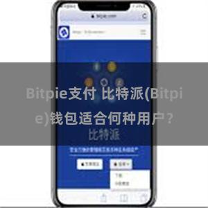 Bitpie支付 比特派(Bitpie)钱包适合何种用户？