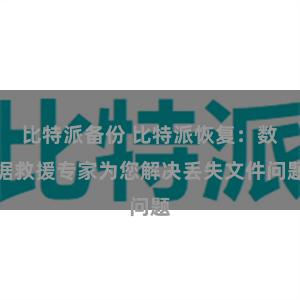比特派备份 比特派恢复：数据救援专家为您解决丢失文件问题