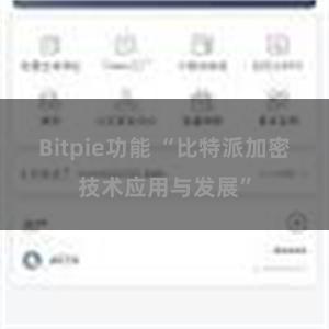 Bitpie功能 “比特派加密技术应用与发展”