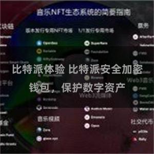 比特派体验 比特派安全加密钱包，保护数字资产