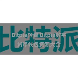Bitpie轻量 Bitpie数字货币钱包资源大全