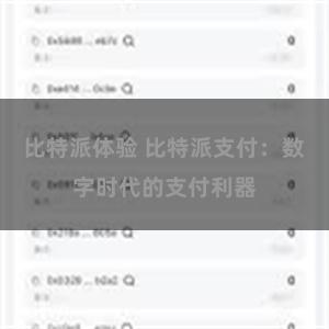 比特派体验 比特派支付：数字时代的支付利器
