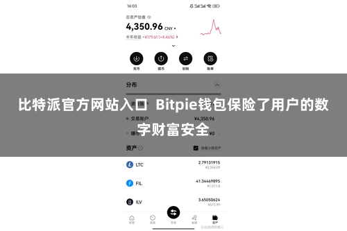 比特派官方网站入口  Bitpie钱包保险了用户的数字财富安全