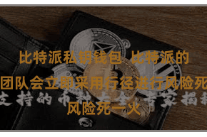 比特派私钥钱包  比特派的安全团队会立即采用行径进行风险死一火