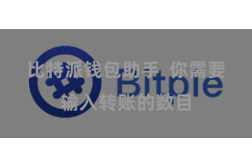 比特派钱包助手  你需要输入转账的数目