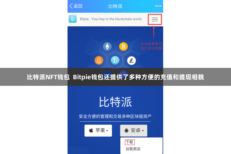 比特派NFT钱包  Bitpie钱包还提供了多种方便的充值和提现相貌